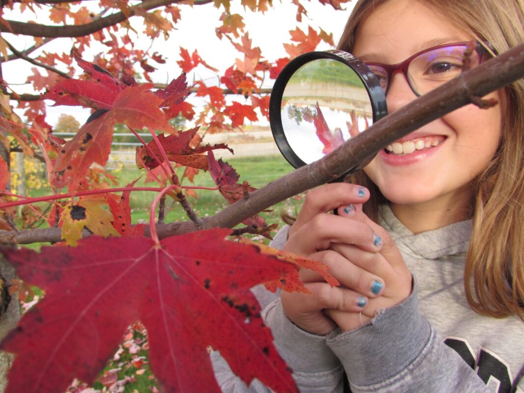 Girl looks at leaf with magnifying glass